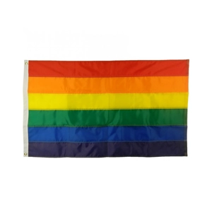 Rainbow/Pride/NHS Flag