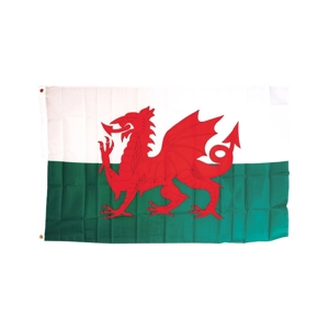Welsh Flag