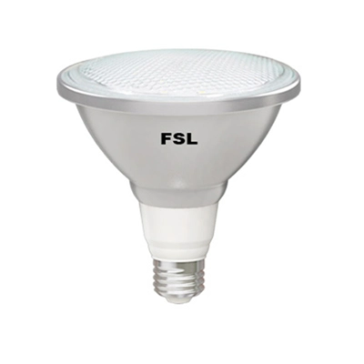 FSL LED PAR38