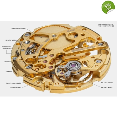 Gold Plated Inner Watch Cogs
