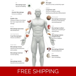 Special for Laura Wholesale