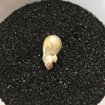 Fire Ball Pearl Number 8