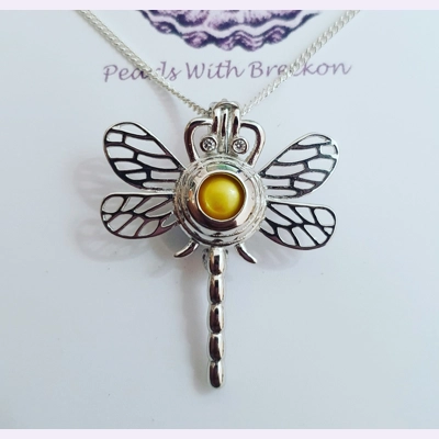 Dragonfly Cage Pendant