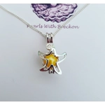 Small Sea Star Cage Pendant