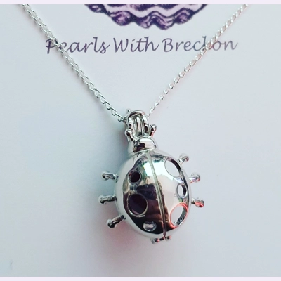 Ladybird Cage Pendant