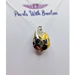 Best Cats Cage Pendant