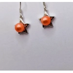 Spotted Star Earrings