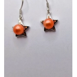 Spotted Star Earrings