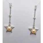 Night Of Star's Earrings
