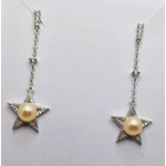 Night Of Star's Earrings