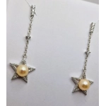 Night Of Star's Earrings