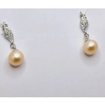 Glint Of Nature Earrings