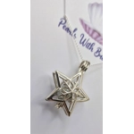 Snowflake Star Cage Pendant