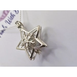 Snowflake Star Cage Pendant