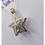Snowflake Star Cage Pendant