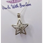 Snowflake Star Cage Pendant