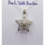 Snowflake Star Cage Pendant