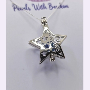 Sally's Christmas Star ..