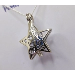 Sally's Christmas Star Cage Pendant