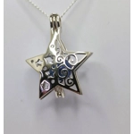 Sally's Christmas Star Cage Pendant
