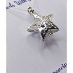 Sally's Christmas Star Cage Pendant
