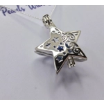 Sally's Christmas Star Cage Pendant