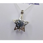 Sally's Christmas Star Cage Pendant