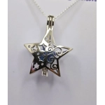 Sally's Christmas Star Cage Pendant