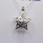 Sally's Christmas Star Cage Pendant