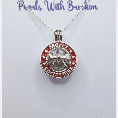 Merry Christmas Cage Pendant