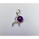 Rainbow Sparkle Charm