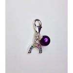 Rainbow Sparkle Charm