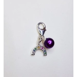 Rainbow Sparkle Charm