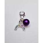 Rainbow Sparkle Charm