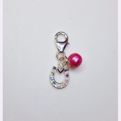 Rainbow Horse Shoe Charm