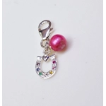 Rainbow Horse Shoe Charm