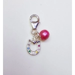 Rainbow Horse Shoe Charm