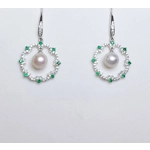 Christmas Sparkle Earrings