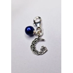 Lucky Moon Charm