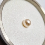 Creamrose 8mm Crystal Pearl