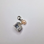 Camera Charm