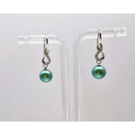 Foreverness Earrings