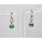 Foreverness Earrings