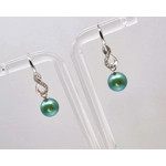 Foreverness Earrings