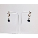 Padlock Snap Back Earrings