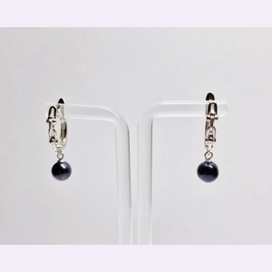 Padlock Snap Back Earrings