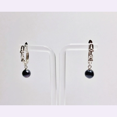 Padlock Snap Back Earrings