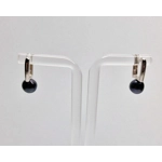 Simple Snap Back Earrings