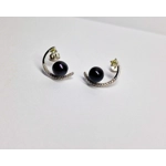 Moon's Light Earrings