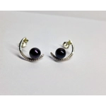 Moon's Light Earrings